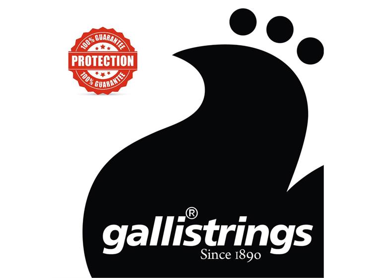 Gallistrings RS1046 Nickel Wound (010-046) Regular