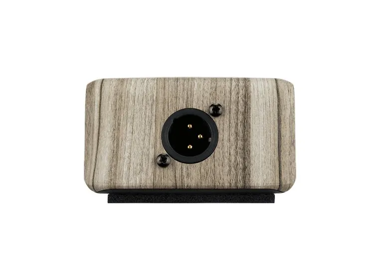 L.R.Baggs Align Active DI 