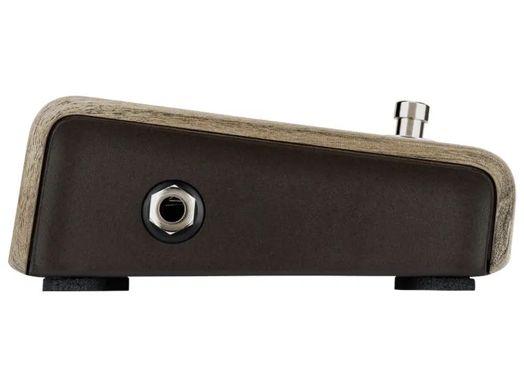 L.R.Baggs Align Active DI 