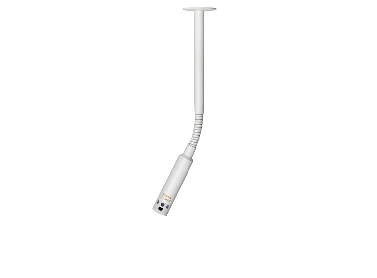 Audix M40W6 Ceiling Gooseneck Mic Carioid, Condenser 