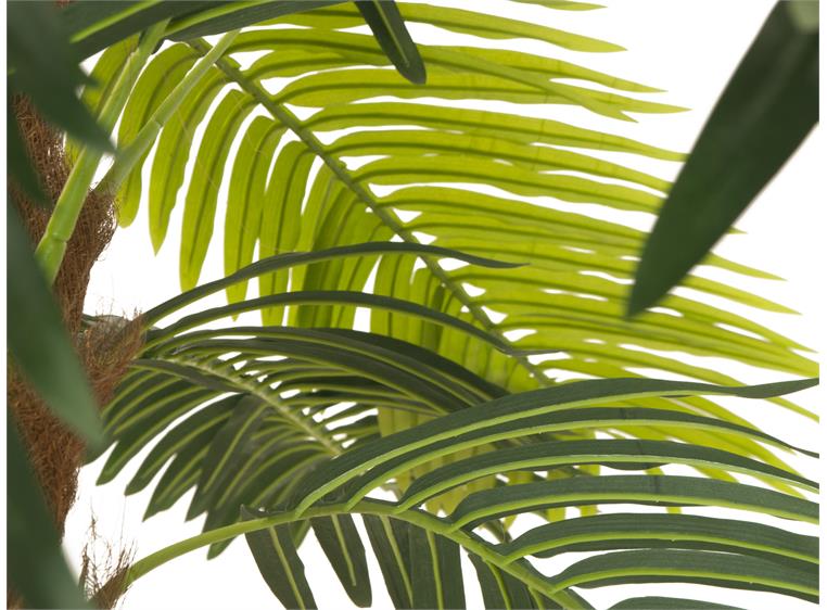 EUROPALMS Phoenix palm deluxe, artificial plant, 300cm