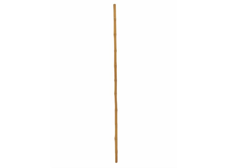 Europalms Bamboo tube, Ø=3cm, 200cm