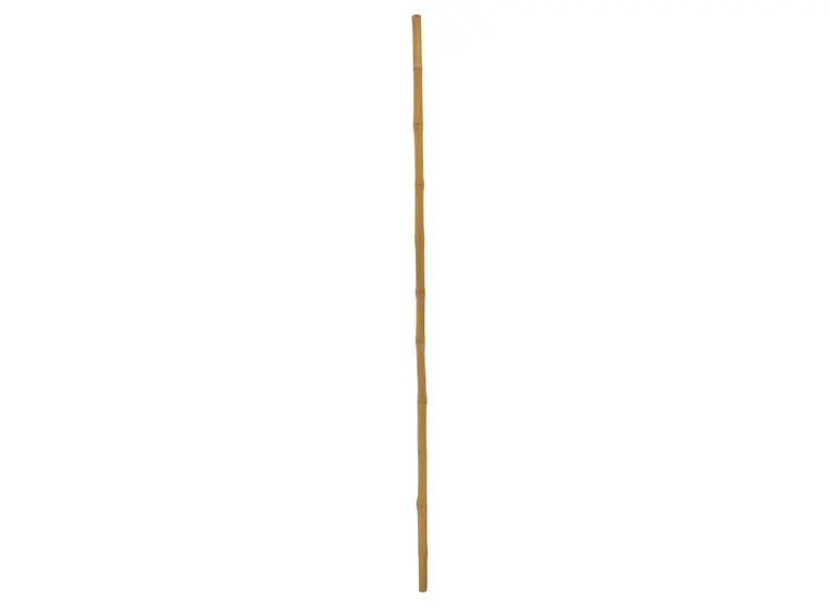 Europalms Bamboo tube, Ø=3cm, 200cm 