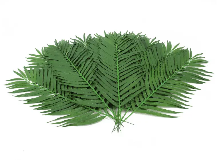 Europalms Coconut Palm Branch 110cm 12x 