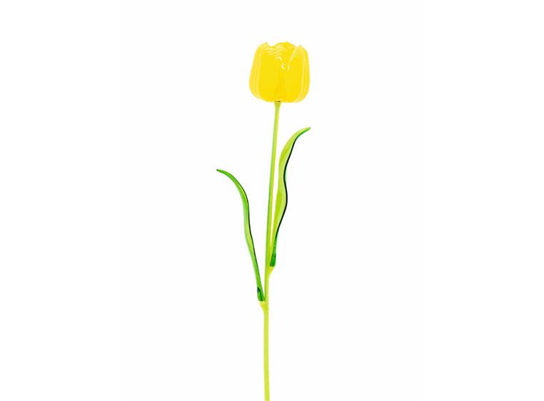 Europalms Crystal tulip, yellow 61cm 12x