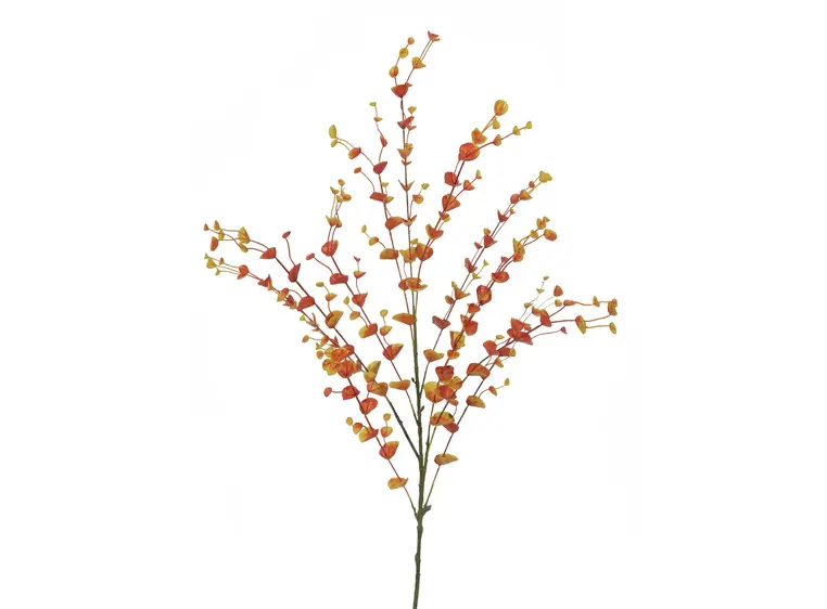 Europalms Eucalyptus spray, orange 110cm 