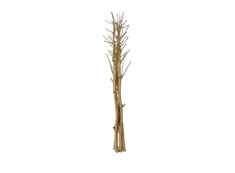 Europalms Fennel bunch, dried, gold 160cm 