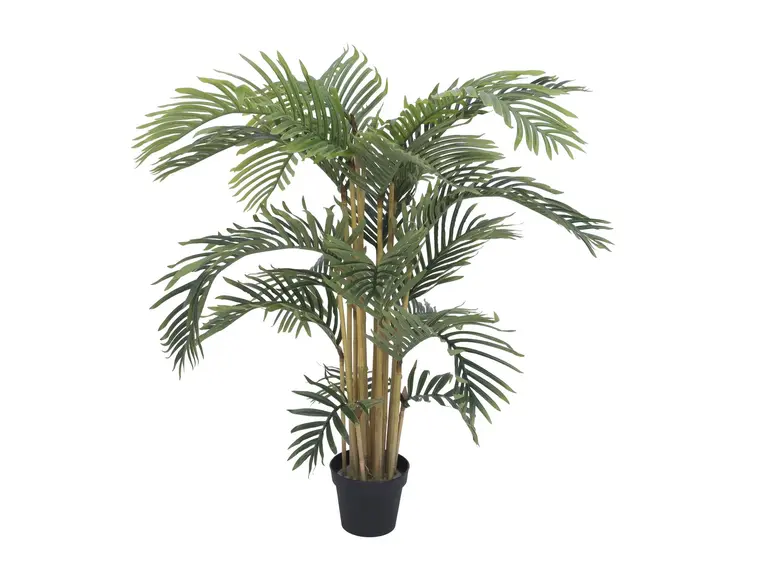 Europalms Kentia palm tree, 140cm 