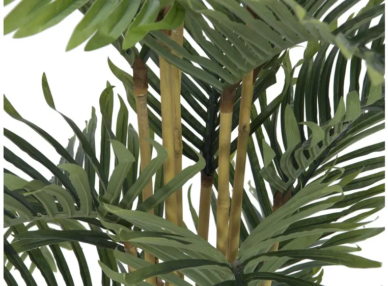 Europalms Kentia palm tree, 140cm 