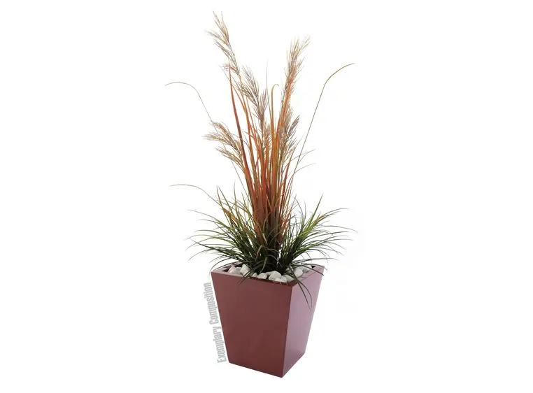 Europalms LEICHTSIN BASIC-50, shiny-red 
