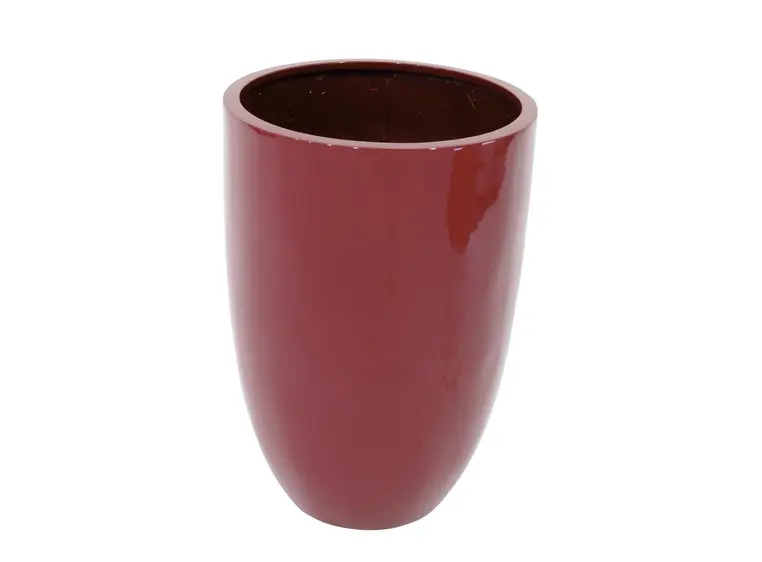 Europalms LEICHTSIN CUP-69, shiny-red 