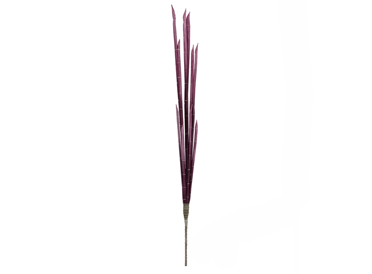 Europalms Magic Onion Stalks, rose 134cm 