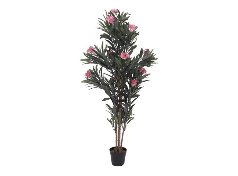 Europalms Oleander tree, pink, 150 cm