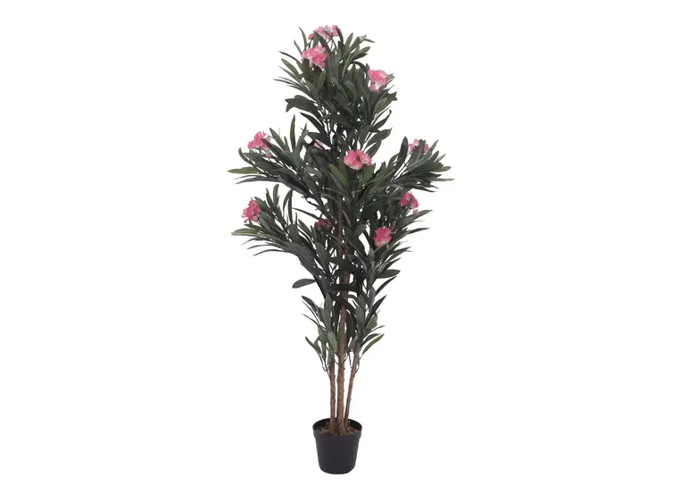 Europalms Oleander tree, pink, 150 cm 