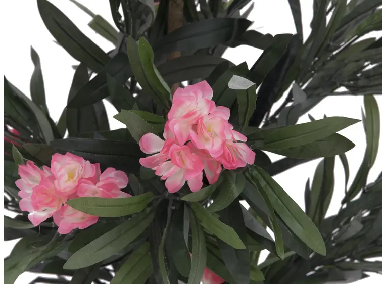 Europalms Oleander tree, pink, 150 cm 