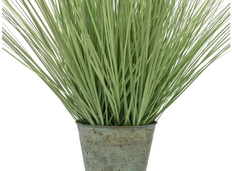 Europalms Ornamental blooming grass 70cm 