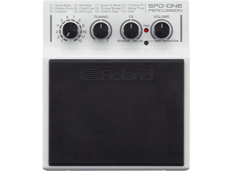 Roland SPD-1P Percussion pad 