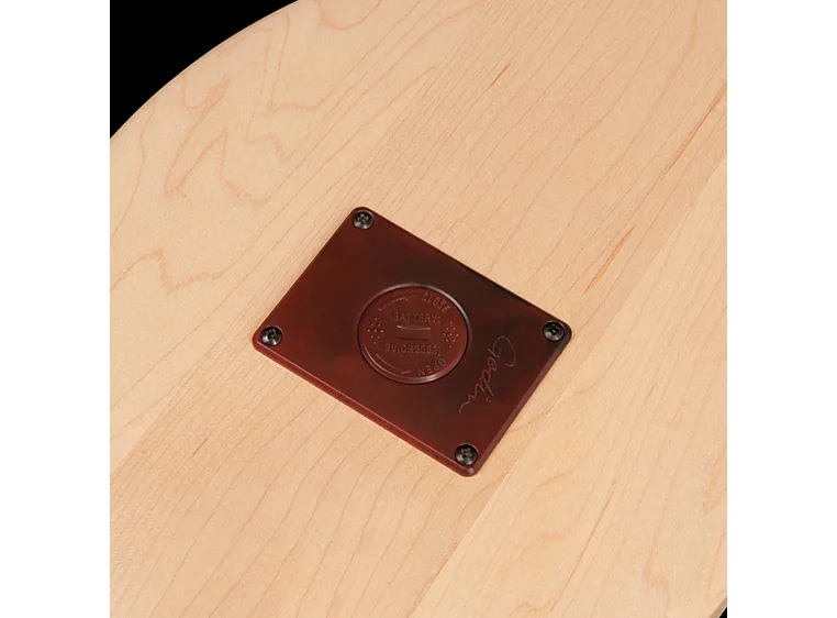 Seagull M4 Spruce EQ custom Seagull electronics 