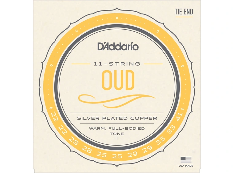 D'Addario EJ95 Oud/11-str. (sett) (022-041) 