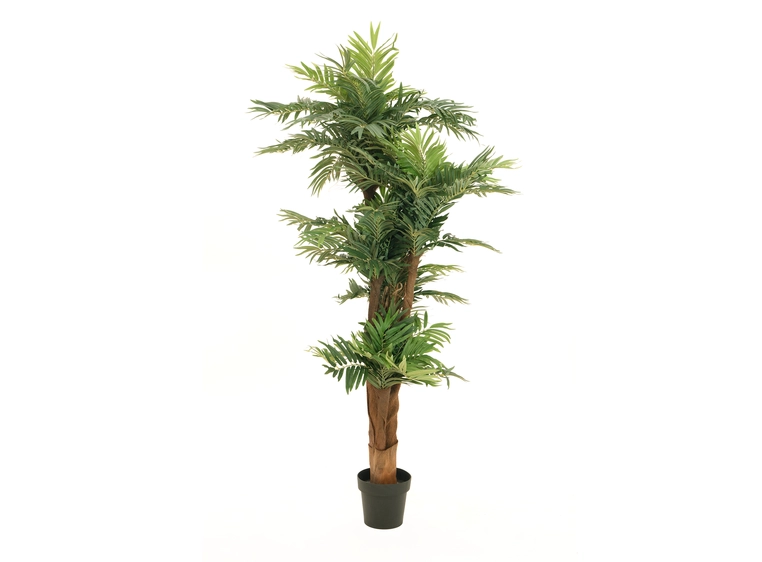 Europalms Areca palm artificial plant, 170cm 