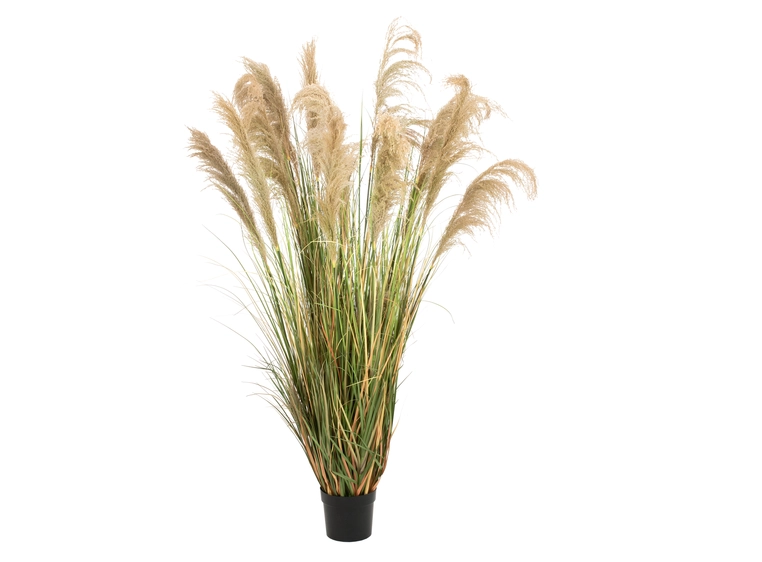 Europalms Chinese silvergrass artificial plant, 180 cm 