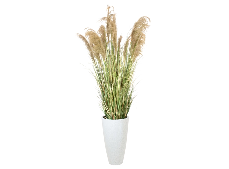 Europalms Chinese silvergrass artificial plant, 180 cm 