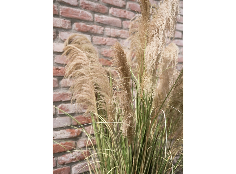 Europalms Chinese silvergrass artificial plant, 180 cm 