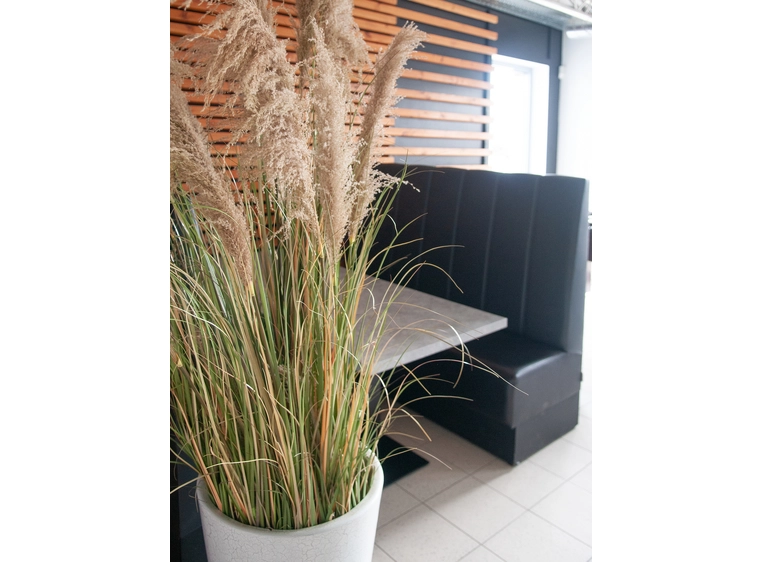 Europalms Chinese silvergrass artificial plant, 180 cm 