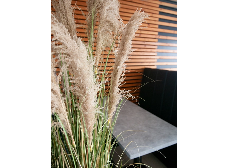 Europalms Chinese silvergrass artificial plant, 180 cm 