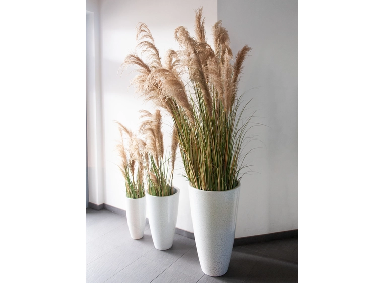 Europalms Chinese silvergrass artificial plant, 180 cm 