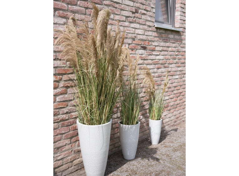 Europalms Chinese silvergrass artificial plant, 180 cm 