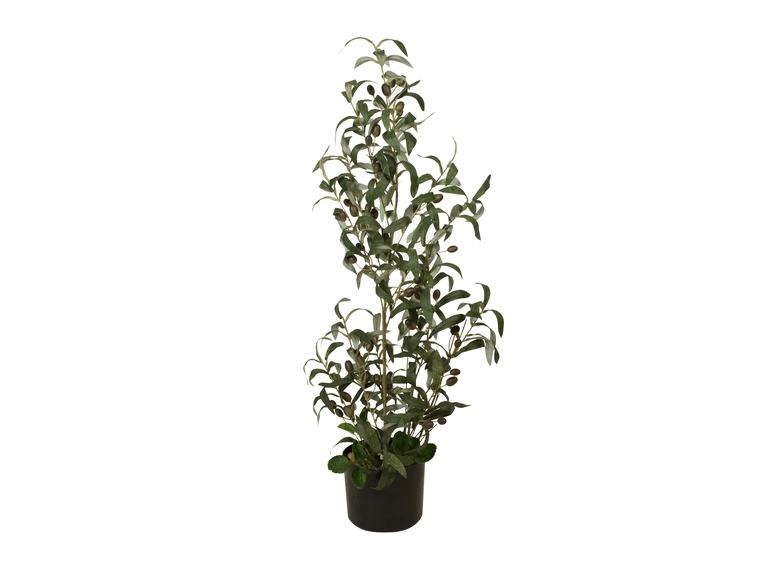Europalms Olive tree, artificial plant 90 cm 