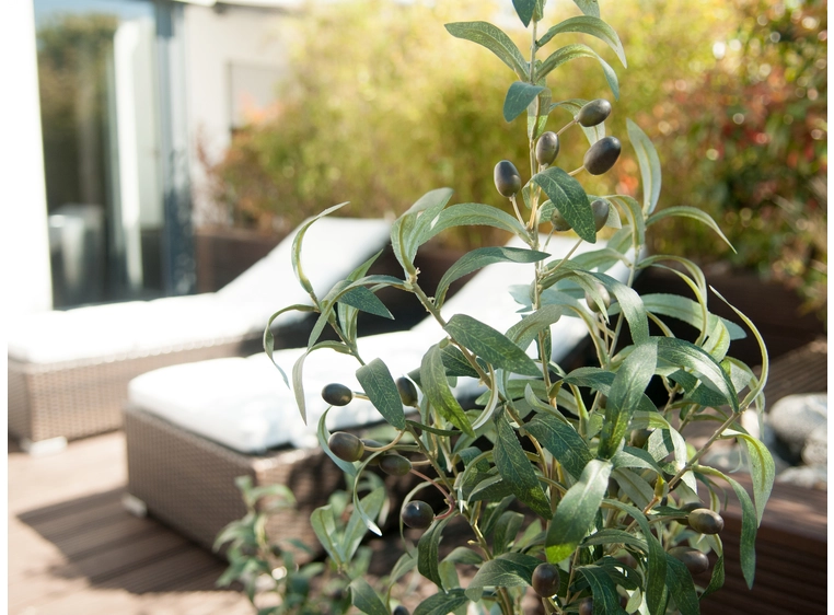 Europalms Olive tree, artificial plant 90 cm 