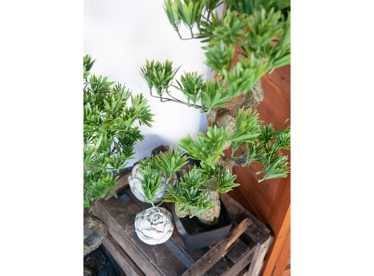 Europalms Pine bonsai artificial plant, 95cm 