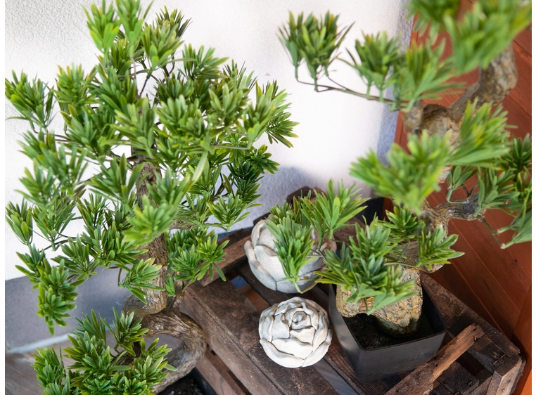 Europalms Pine bonsai artificial plant, 95cm 