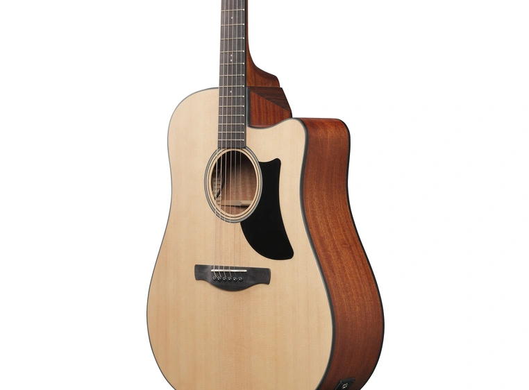 Ibanez AAD50CE-LG 