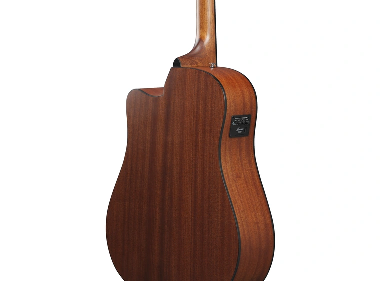 Ibanez AAD50CE-LG 