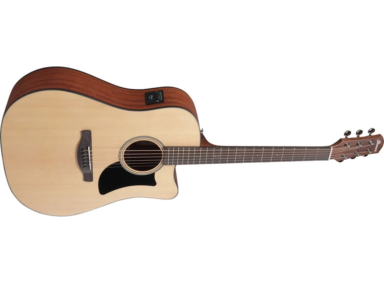 Ibanez AAD50CE-LG 