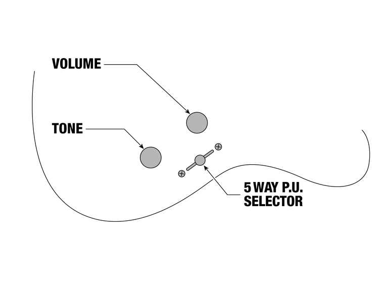 Ibanez YY10 SGS el-gitar 
