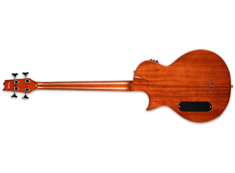 LTD TL-4 Natural Gloss 