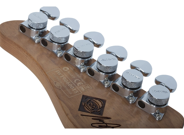 Schecter Nick Johnston Traditional H/S/S Atomic Frost 