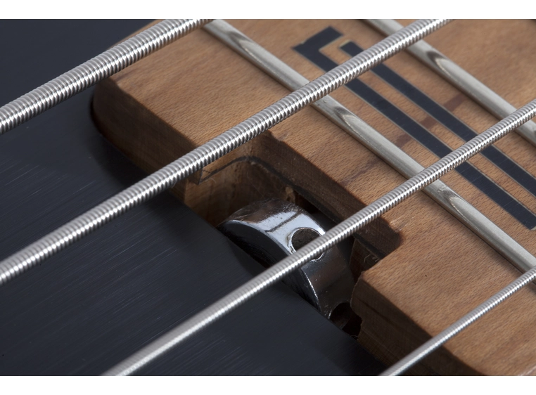 Schecter P-4 Exotic 