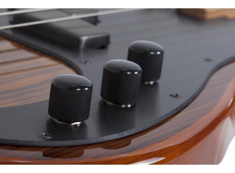 Schecter P-4 Exotic 