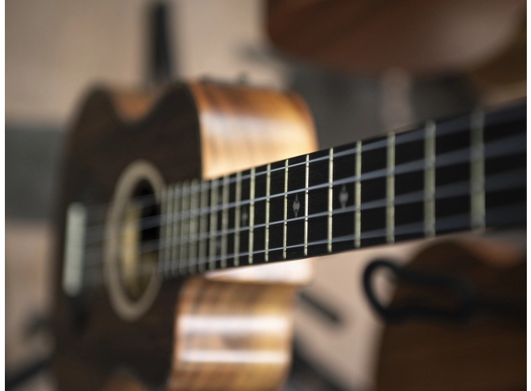 Dimavery UK-200 Tenor Ukulele, Koa 