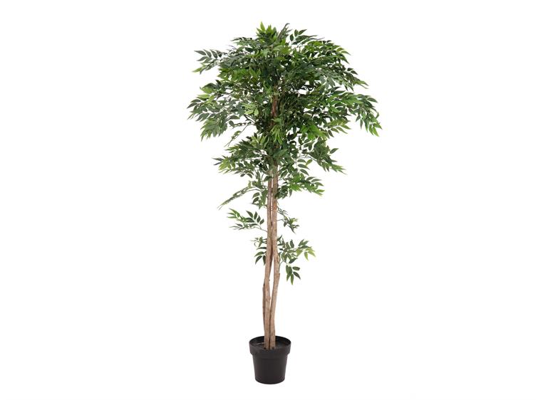 Europalms Ficus longifolia artificial plant, 165cm
