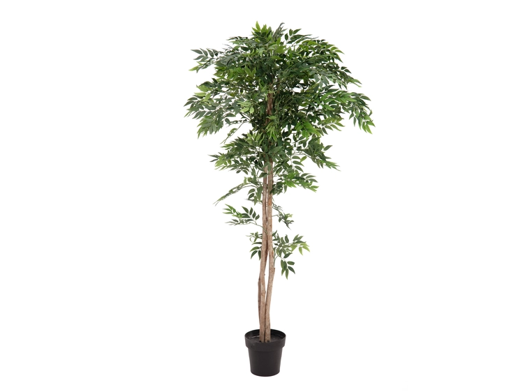 Europalms Ficus longifolia artificial plant, 165cm 