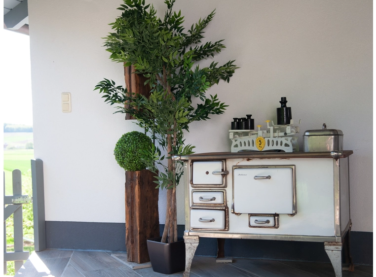 Europalms Ficus longifolia artificial plant, 165cm 