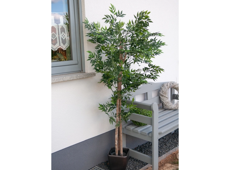 Europalms Ficus longifolia artificial plant, 165cm 