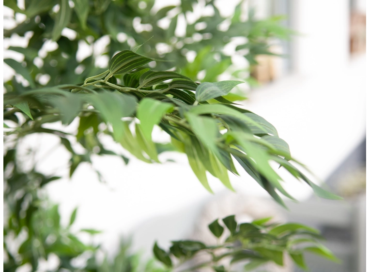 Europalms Ficus longifolia artificial plant, 165cm 