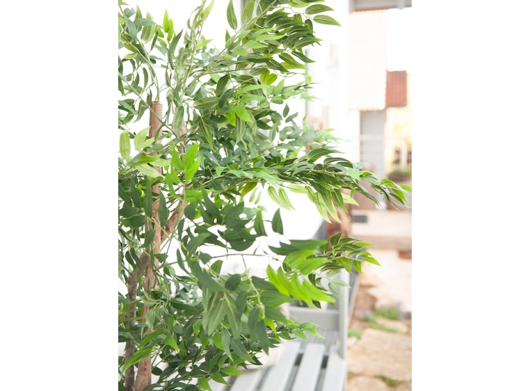 Europalms Ficus longifolia artificial plant, 165cm 